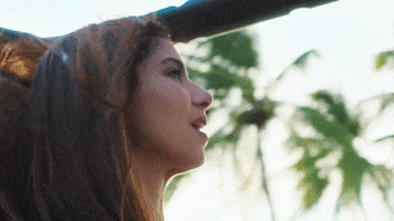 Driving Roselyn Sanchez GIF by FOX TV