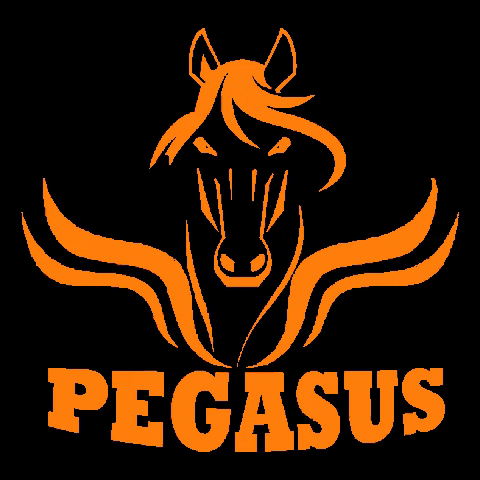PegasusSolucionesIntegrales empresa limpieza pegasus soluciones GIF