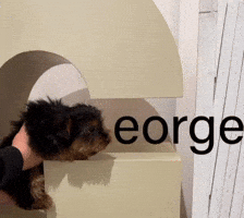 George GIF
