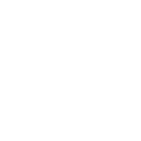 ANANIA Sticker