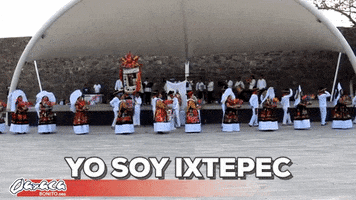 omarescobarmoya guelaguetza ixtepec GIF