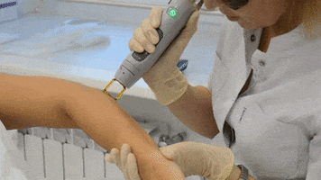 Cadela GIF