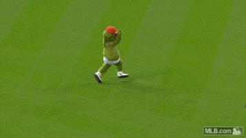 houston astros GIF by MLB