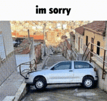 Sorry Car GIF