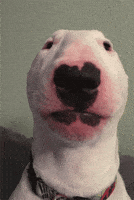 200.gif