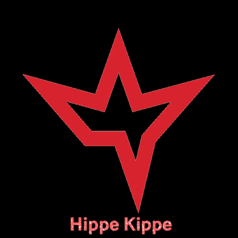 Fashion Sparkle GIF by Hippe Kippe