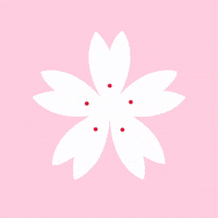 Explore cherry flower GIFs