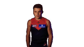 Melbourne Demons No Sticker by Melbournefc
