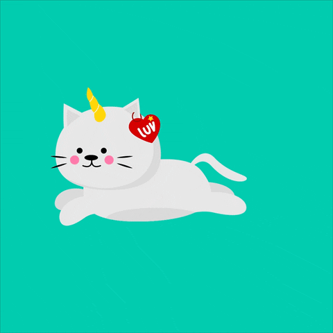 Happy Cat GIF by Jessica Lau