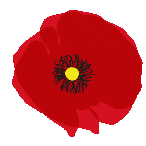 Sughero Slow Cafe Sticker