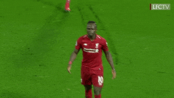 Premier League Hug GIF by Liverpool FC