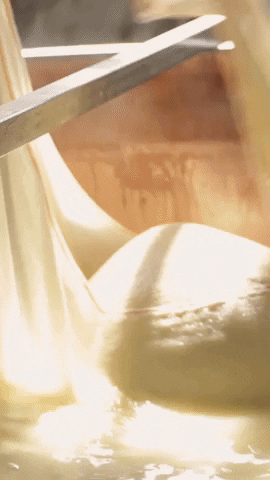 Cheese Parmesan GIF by Parmigiano Reggiano