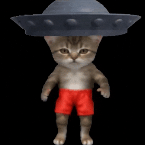 Cat Dancing GIF by POST-WEB