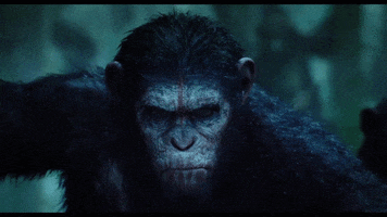 planet of the apes dawn GIF