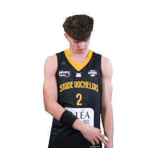 Basket Sticker by Stade Rochelais