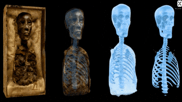 King Tut Halloween GIF by ElmonX