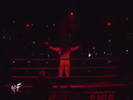 wrestlemania xiv wrestling GIF by WWE