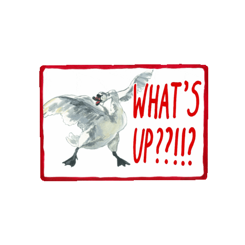 Whats Up Bird Sticker by Double Dutch