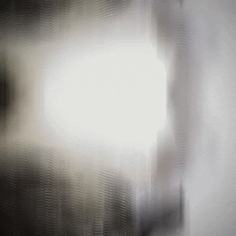 Cat GIF