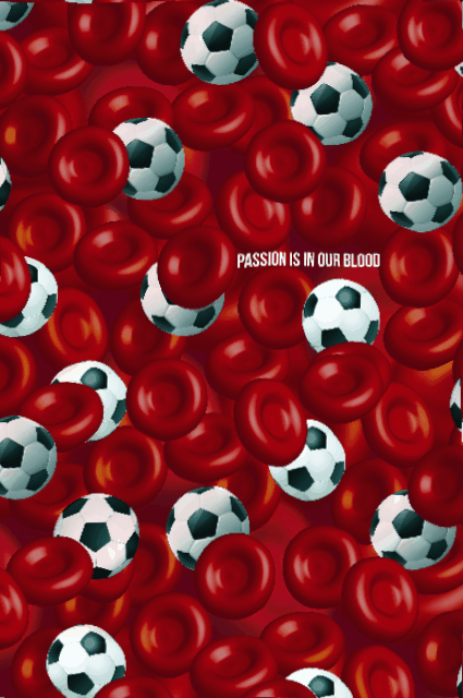 Football Passion GIF