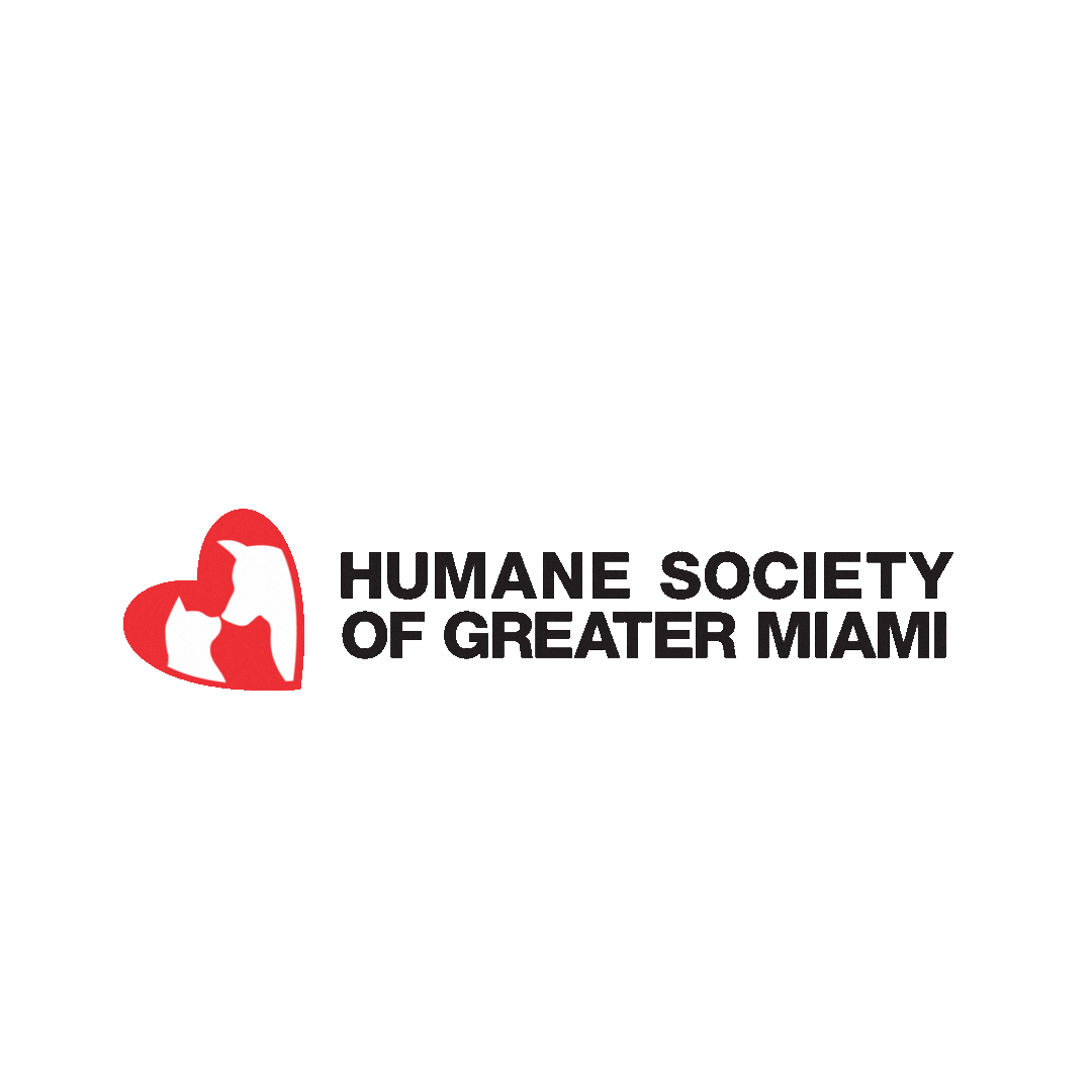Adoption Adopt Sticker by Humane Society of Greater Miami