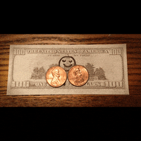 200.gif?cid=fc005b086a1684065e44da50fe347d27aeb5dfc6d01e659a&rid=200.gif&ct=g