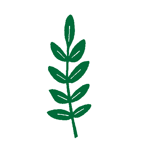 Illustration Sticker