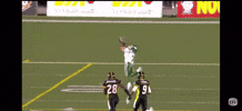 Cfl Riders GIF