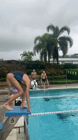 Swim GIF