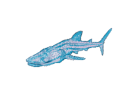 Fish Sticker