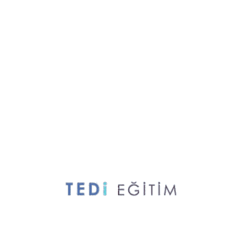 Tedi Egitim Sticker