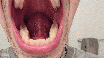 Tongue GIF