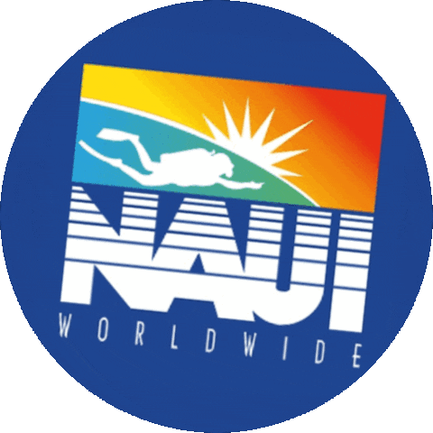 Arrecifes Del Pacifico Sticker