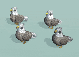 Series GIF