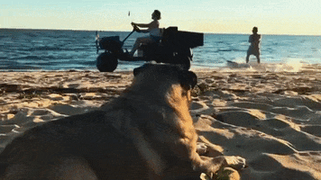Country Music Surfing GIF by Florida Georgia Line