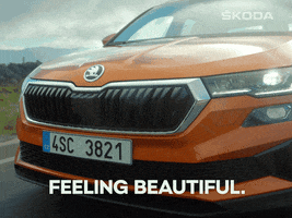 Karoq Feeling Beautiful GIF by Škoda Global