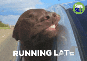 Dog Running Late GIF by Save Soil
