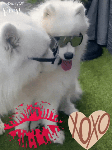 Glasses Kiss GIF