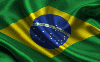 Rio De Janeiro Flag GIF