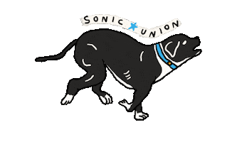 sonicunion Sticker