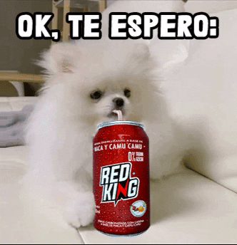 Red King GIF by Red King energy drink