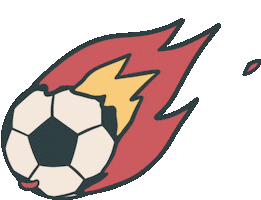 World Cup Football Sticker