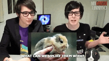 geliilee meme porn danisnotonfire dan howell GIF