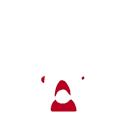 Football Soccer Sticker by AS Trencin