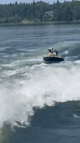 Dogs Pug GIF by Storyful