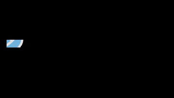 Ziriguidum Marketing GIF