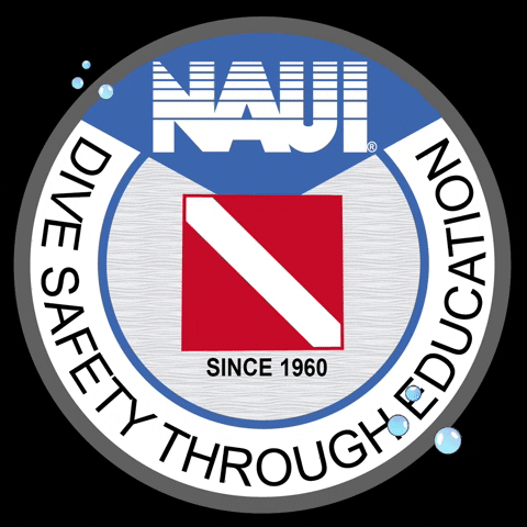 NAUIWorldwide diving scuba diving naui dive safety through education GIF