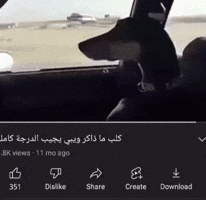 كلب GIF