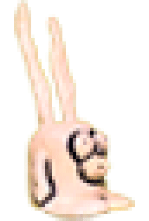 Chamaringus GIF