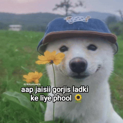 Dog Love GIF